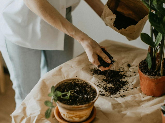 Woman with soil in her hands