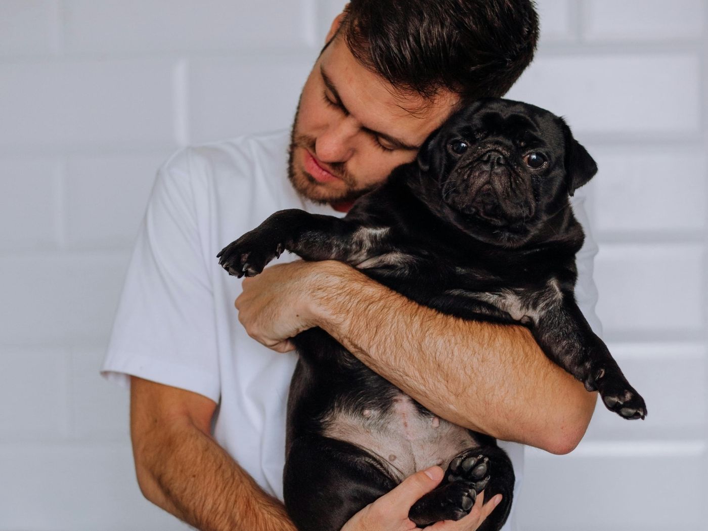 National Hug Your Dog Day | April 10 - Calendarr