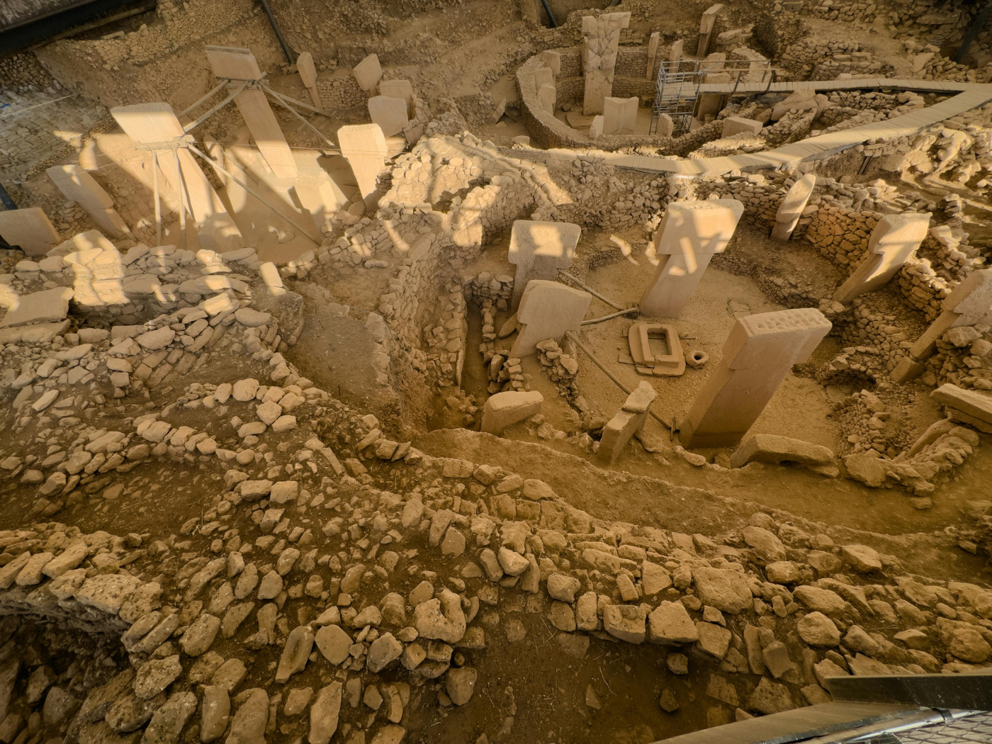 Dia Mundial da Antropologia