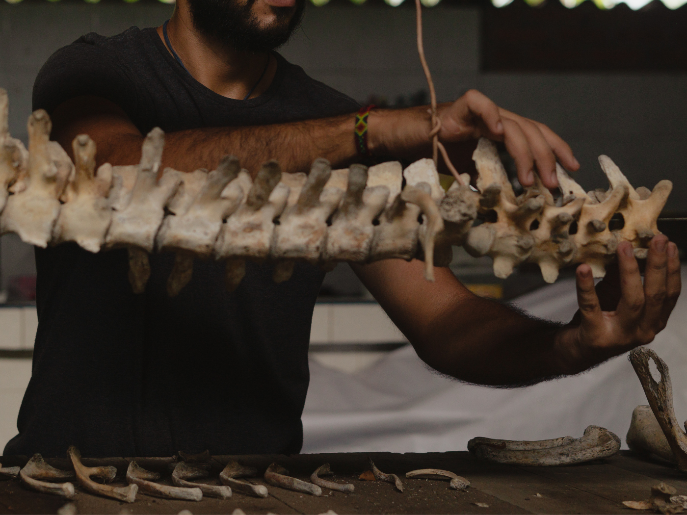 Dia do Paleontólogo