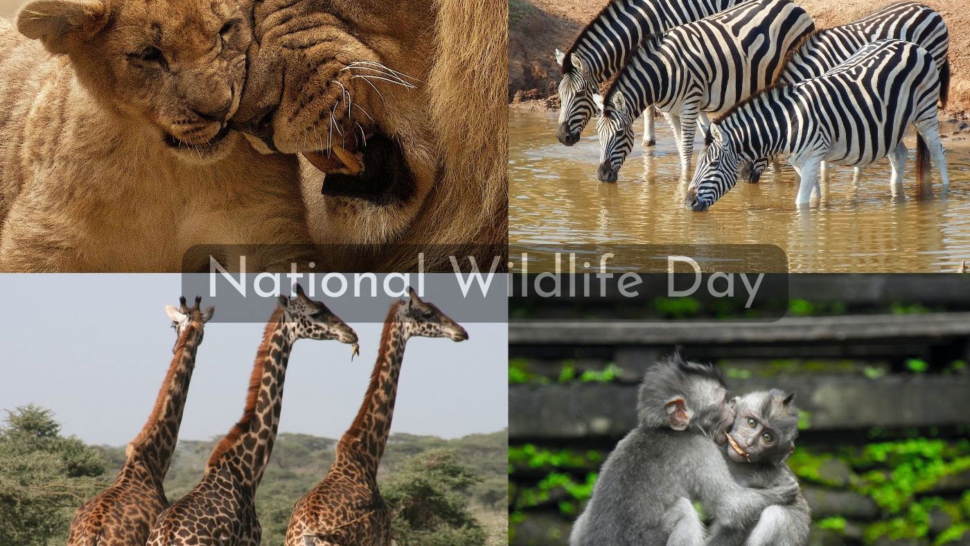 WILDLIFE CONSERVATION DAY - December 4 - National Day Calendar