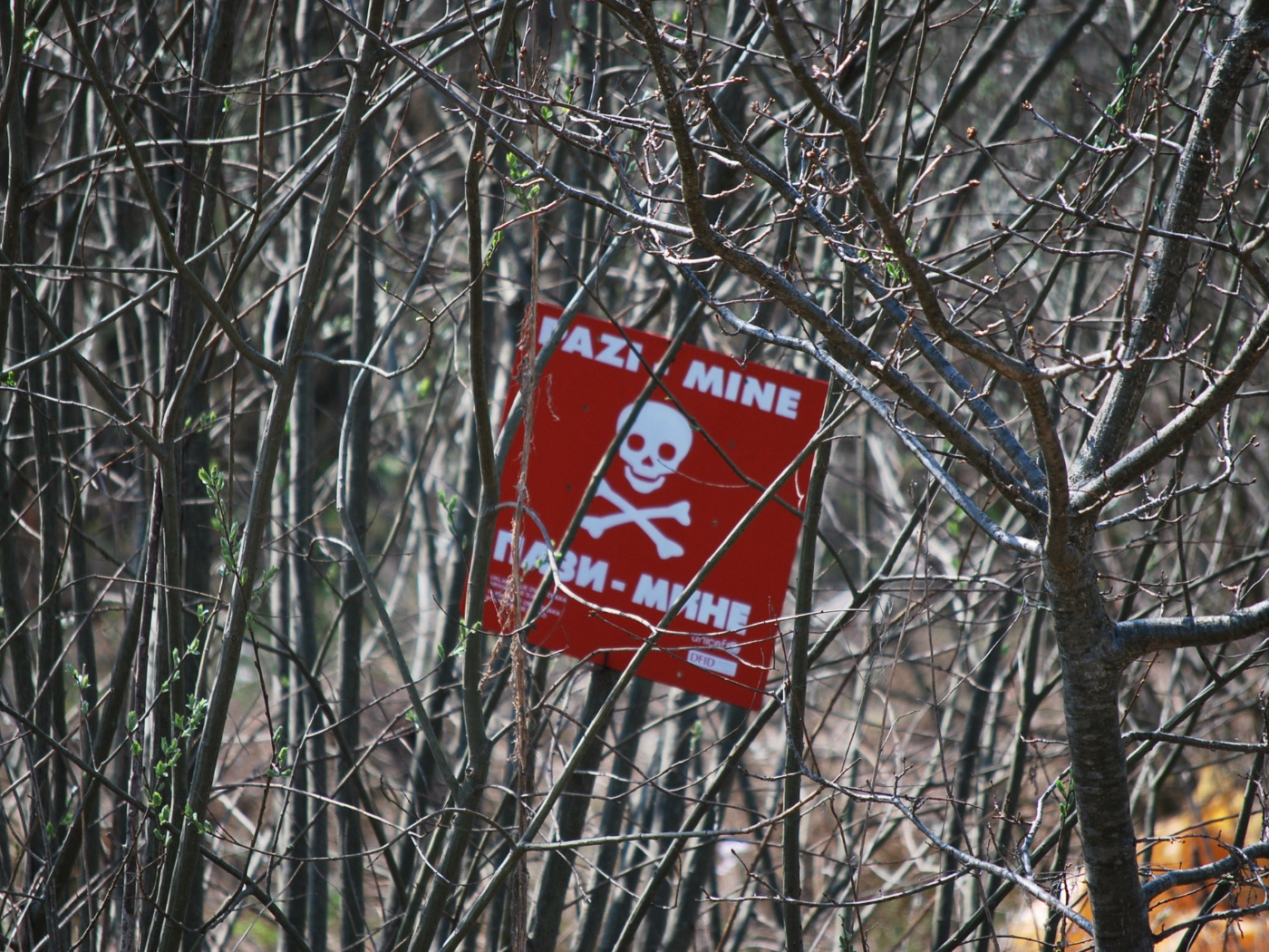 Dia Internacional Contra as Minas Antipessoais