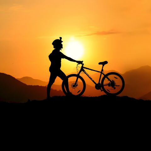 World Bicycle Day