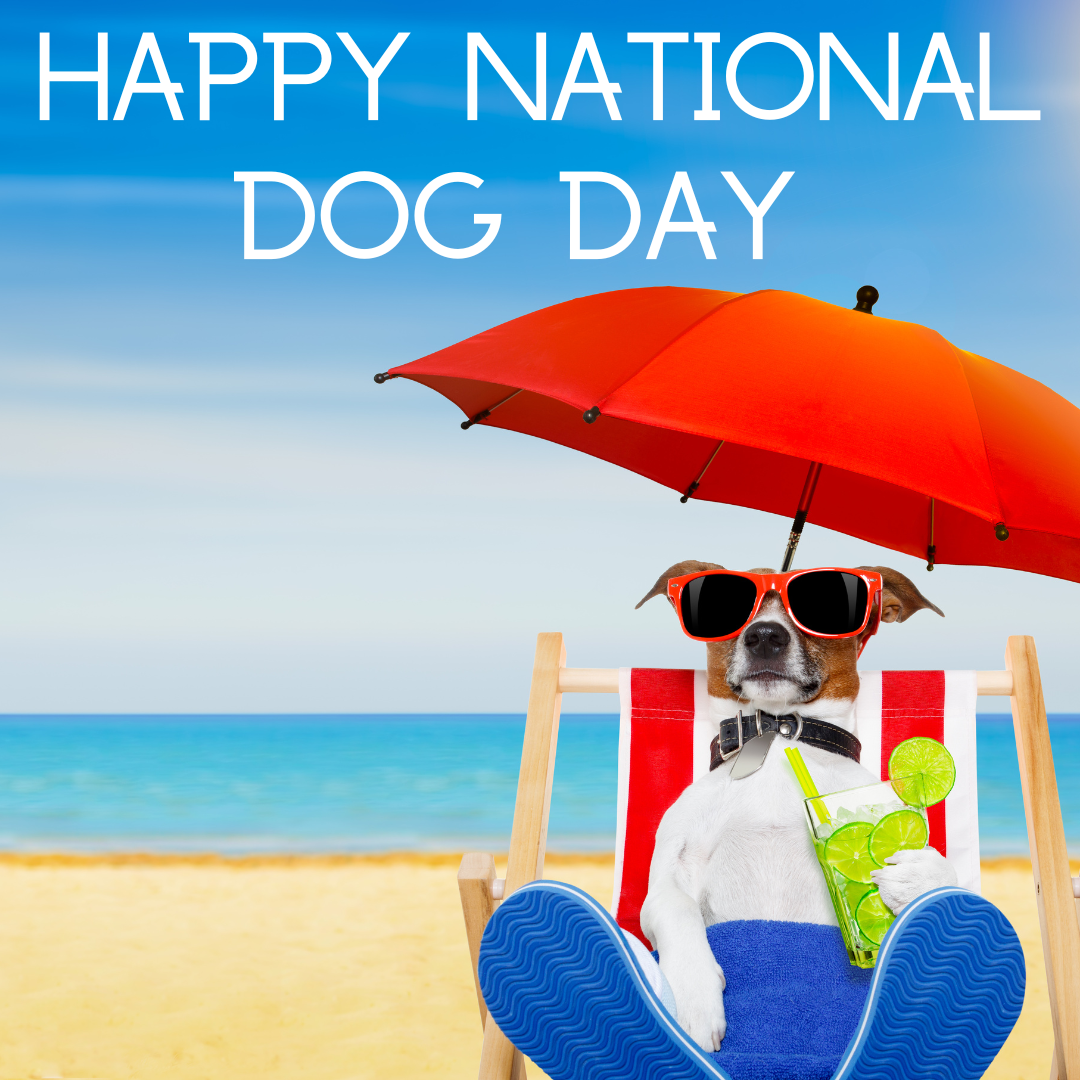 NATIONAL DOG DAY - August 26 - National Day Calendar