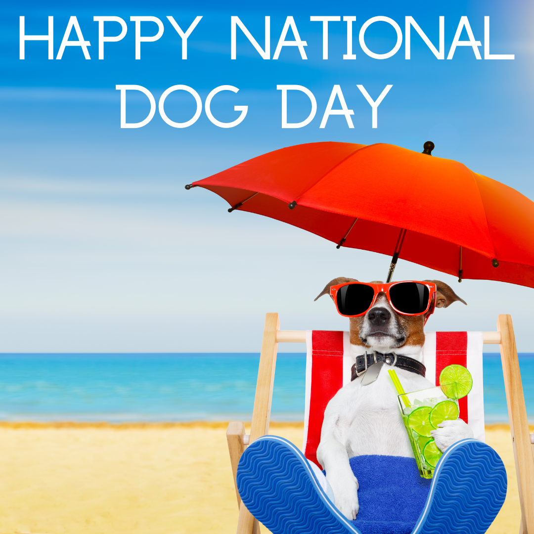 National Spoil Your Dog Day 2024 Images roxy luelle