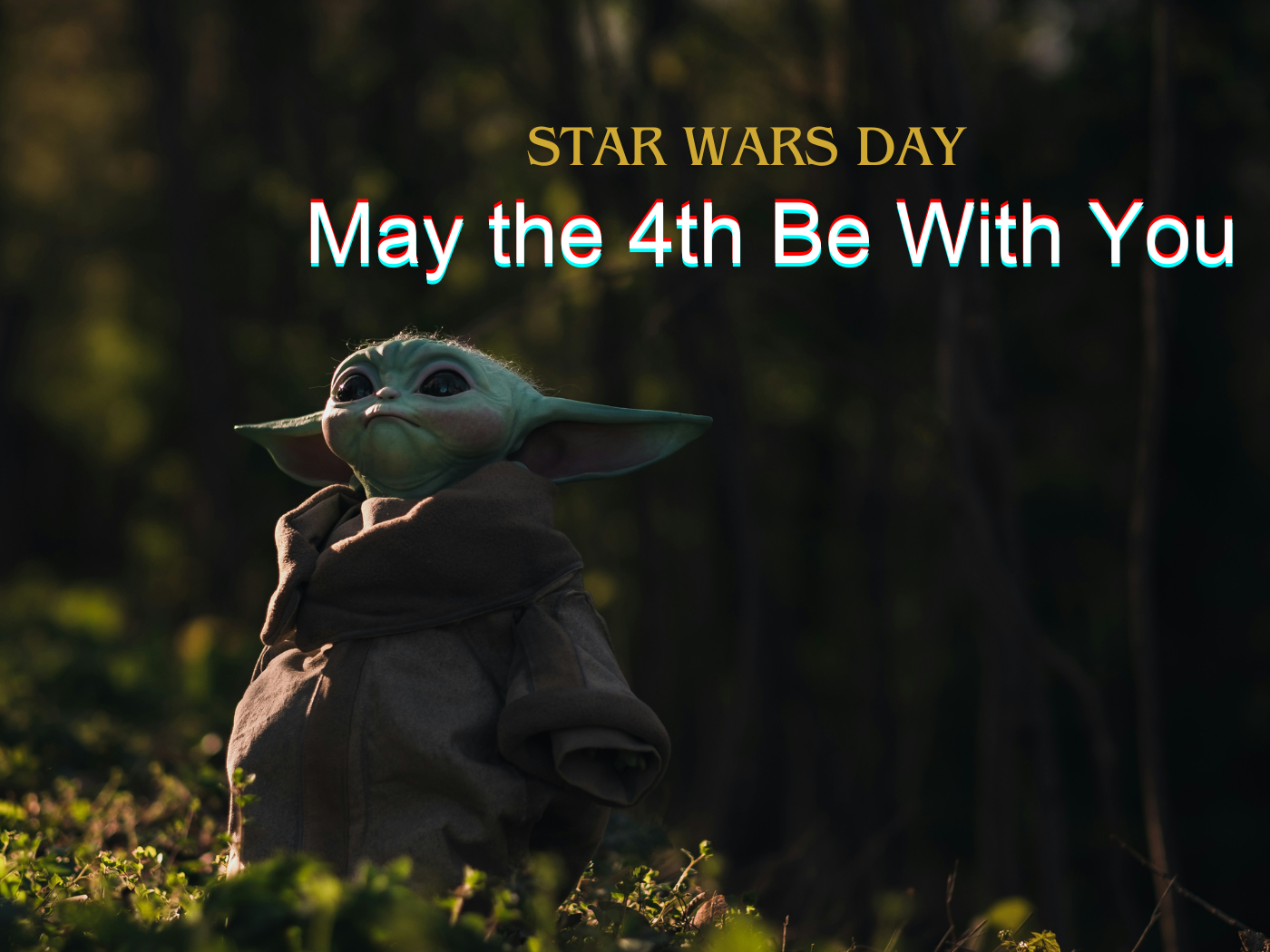 Star Wars Day, Events Calendar