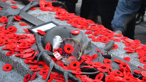 Remembrance Day 2021: When is minute's silence and what do the red poppies  symbolise?