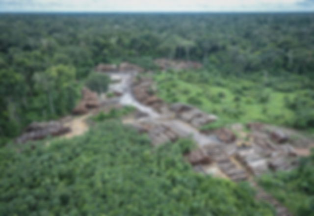 amazônia