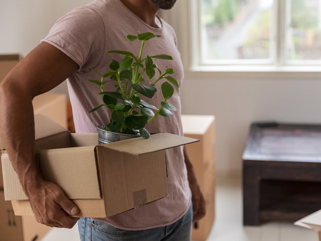 Chico lleva planta dentro de una caja