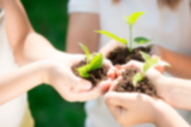 manos sosteniendo montones de tierra con brotes de plantas