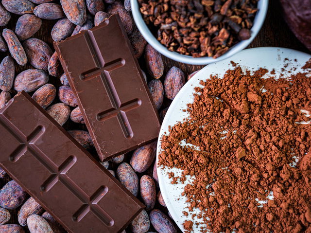cacau e chocolate em pó e em barras