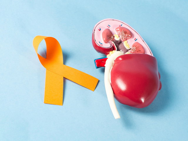 Día Mundial del Cáncer de Riñón