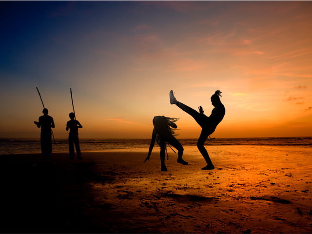 Día del Capoeirista