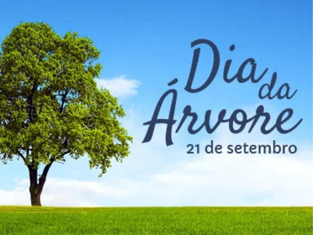 comemoração dia da árvore