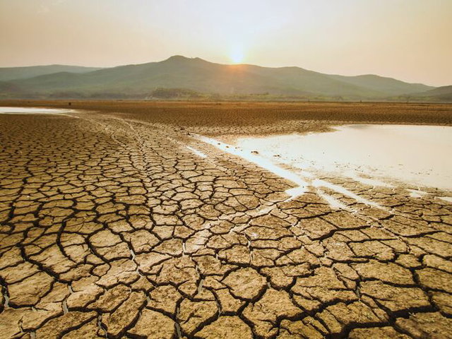 Día de la Lucha contra la desertificación y la sequía