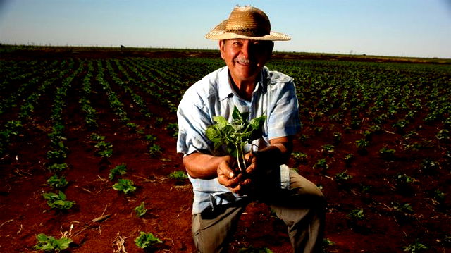 Agricultor feliz no terreno