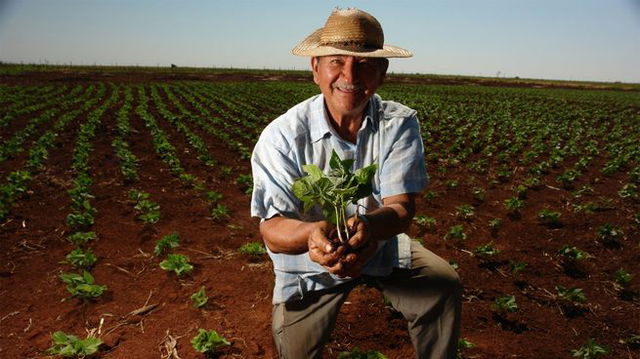 Agricultor feliz no terreno