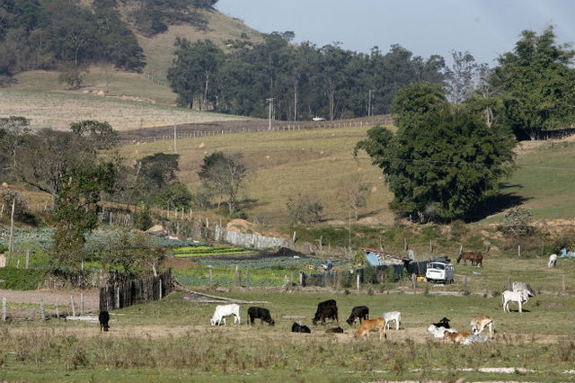 Dia do Campo