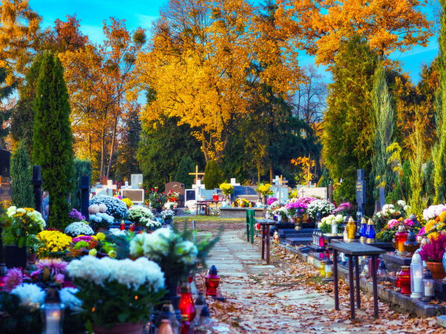Cementerio con flores frescas y velas del Día de Fieles Difuntos