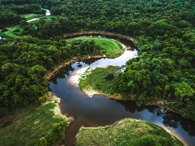 imagem aérea da mata atlântica