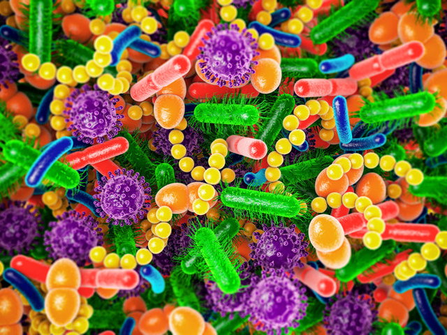 Día Mundial del Microbioma