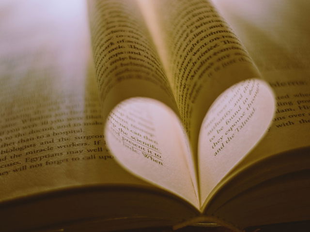folhas de livro aberto dobradas em forma de coração