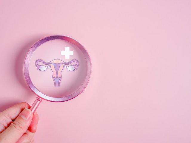 lupa sobre imagem de aparelho reprodutor feminino