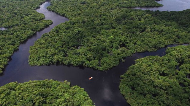 Floresta Amazônica