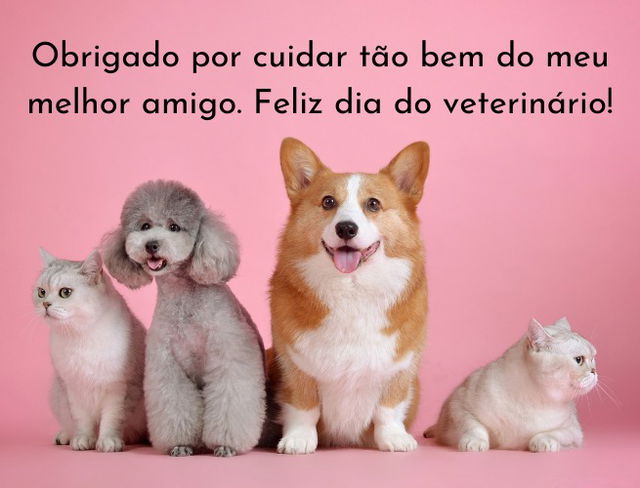 Homenagem para o dia do veterinário