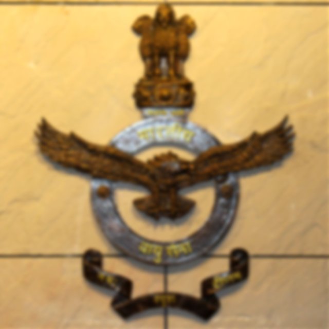 Indian Air Force Logo