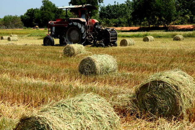 Tractor in a field