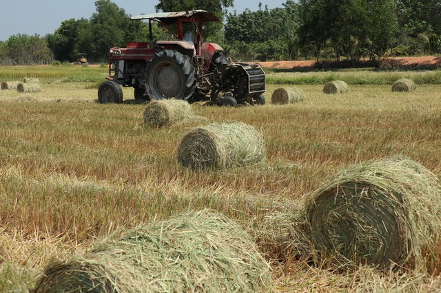 Tractor in a field