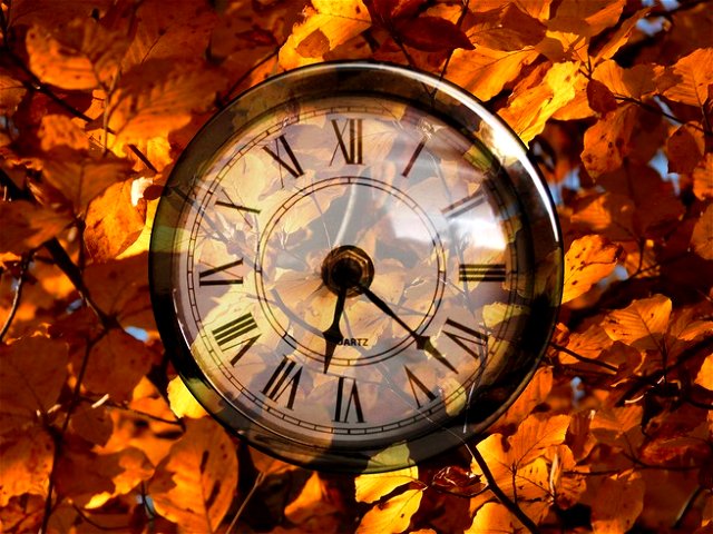 A clock with a background of orange autumnal leaves