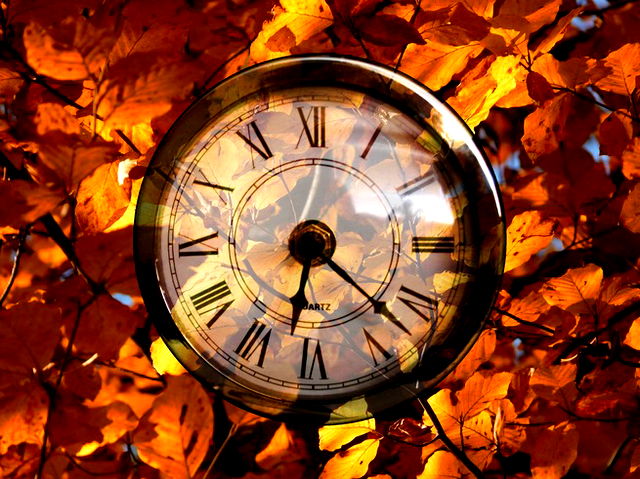 A clock with a background of orange autumnal leaves