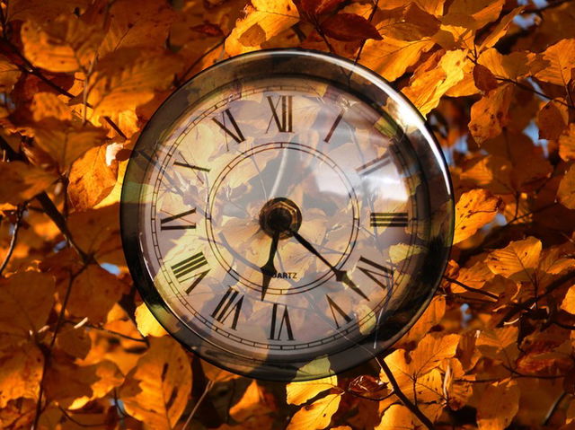 A clock with a background of orange autumnal leaves