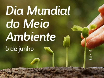 m&atilde;o cuidando de plantinha crescendo