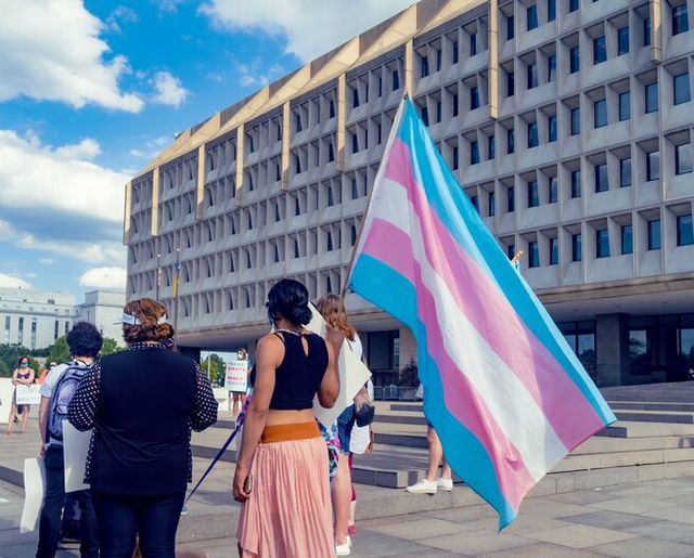 Transgender flag