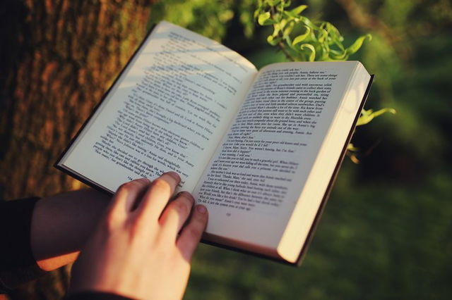 dia del libro argentina: libro sostenido con las manos