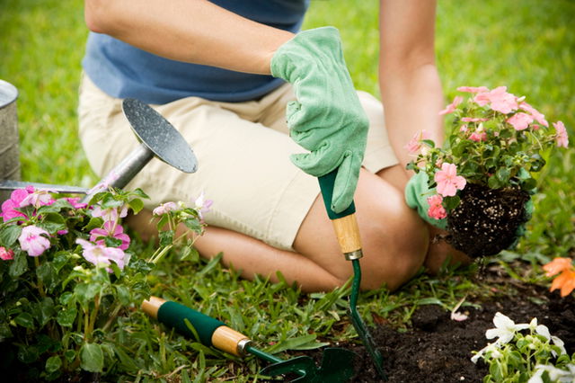 Plant a flower