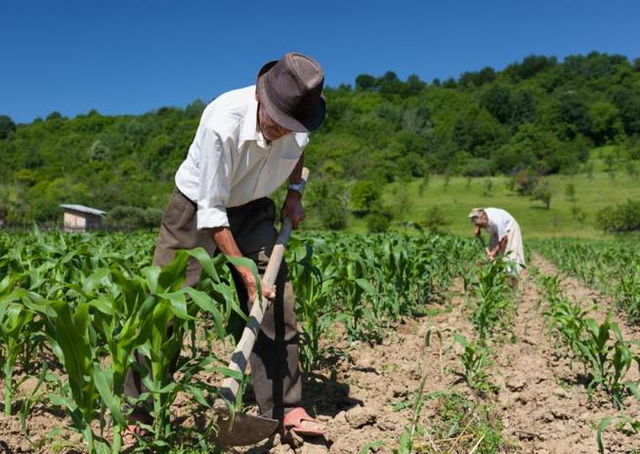 Dia do Trabalhador Rural