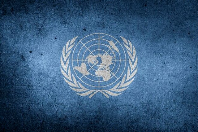 The UN logo: on a blue background a map of the world and a silver crest sit.