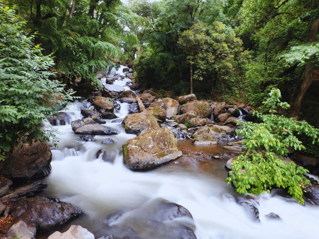 Valle de Bravo (México) río transcurre por el bosque