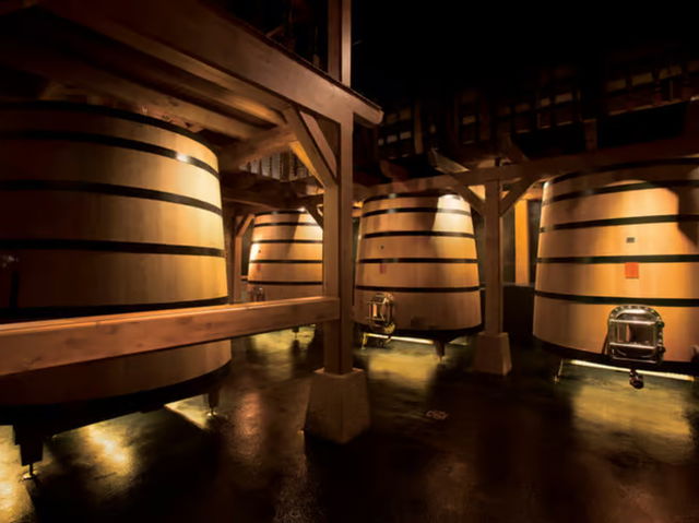 Bodega de vinos de la Rioja