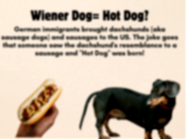 dachshunds and hot dogs