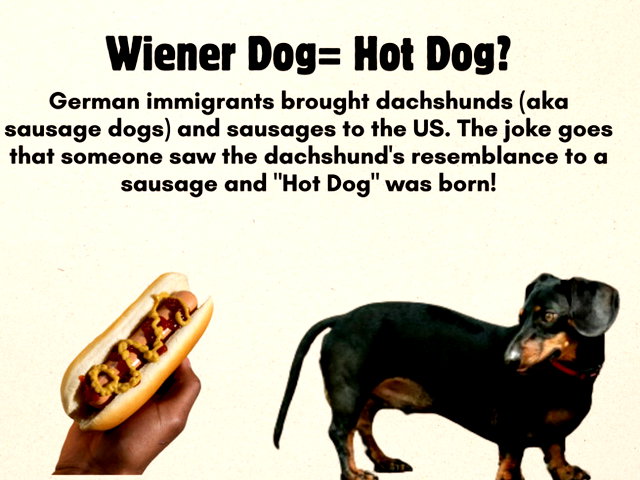 Get Grilling Because It's National Hot Dog Day - Calendarr