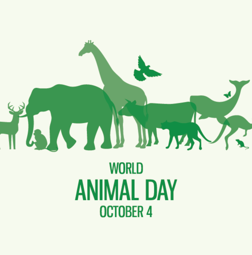 World Animal Day October 4 Calendarr