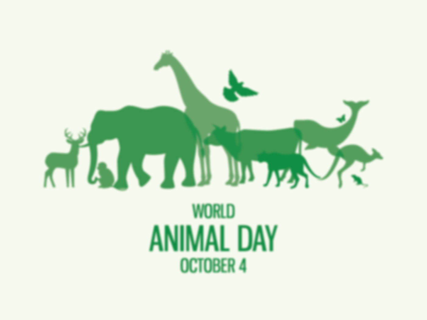 World Animal Day