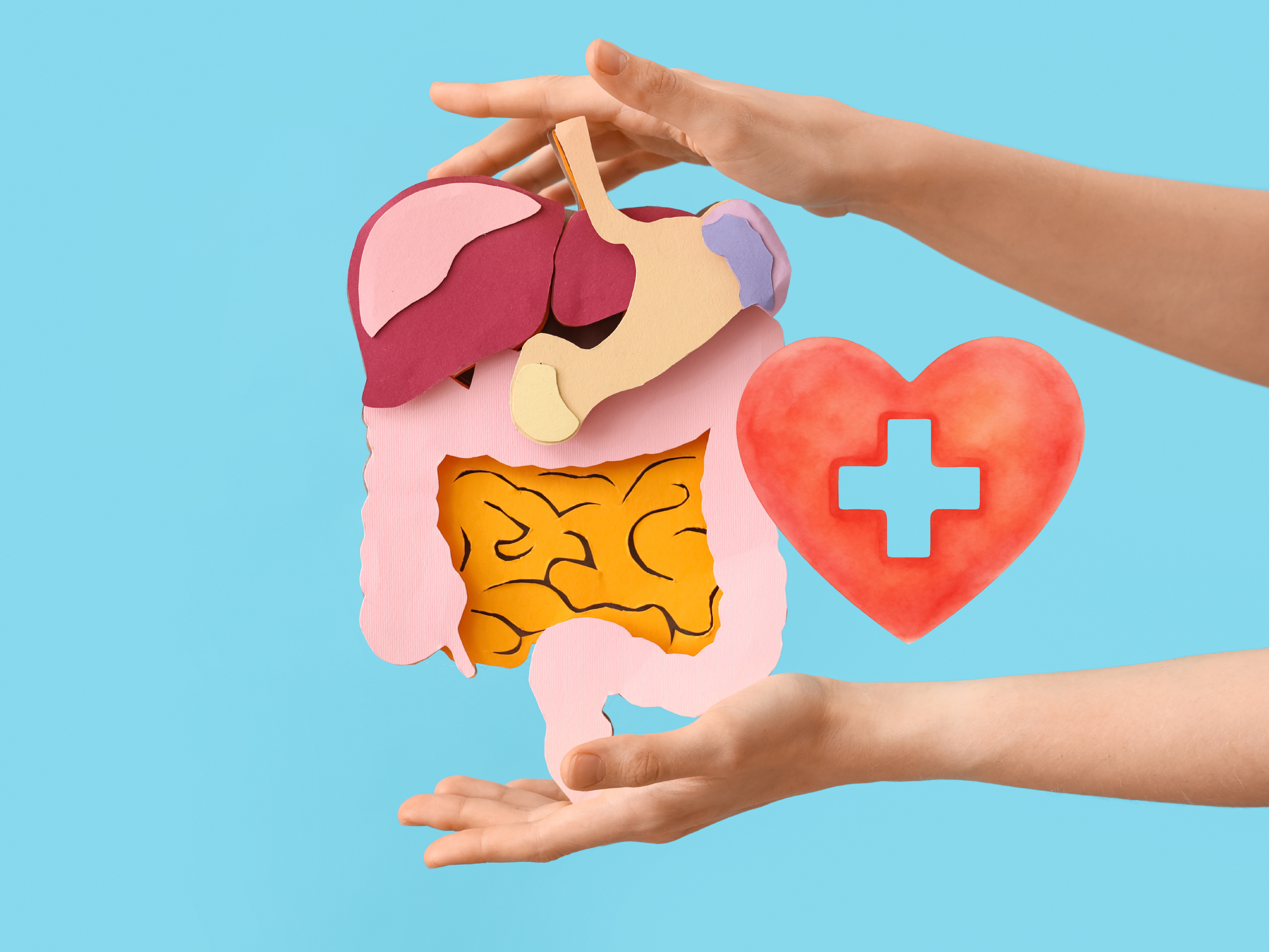Día Mundial de la Salud Digestiva