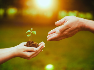 Dia Nacional da Conservação do Solo