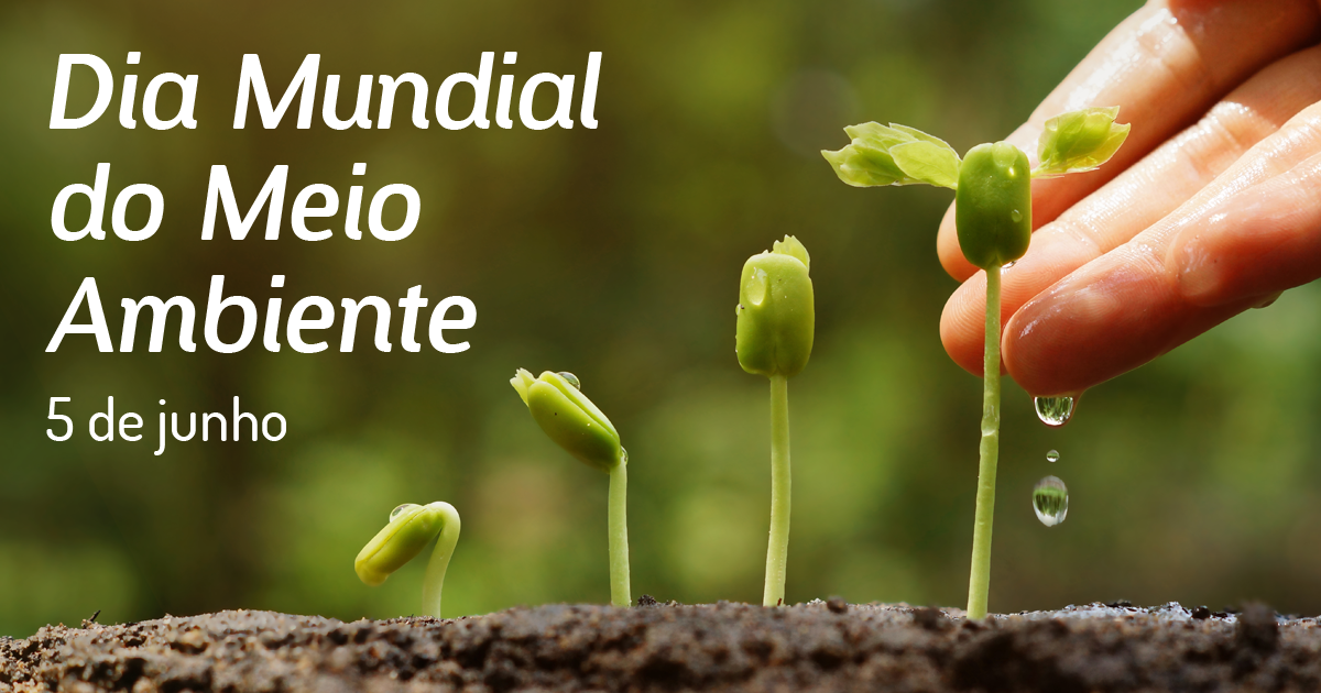 pics Educação Infantil Cartaz Sobre O Dia Mundial Do Meio Ambiente dia mundial do meio ambiente 5 de